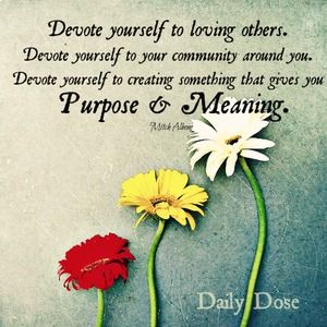 Meet your Posher, Vee-veca